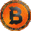 Bitcicoin icon