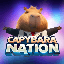 Capybara Nation icon